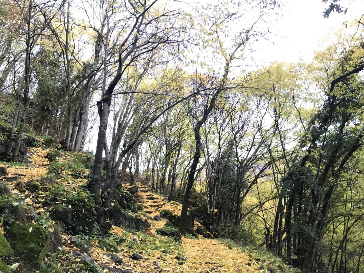 La Gargantilla Херте Екстериор снимка