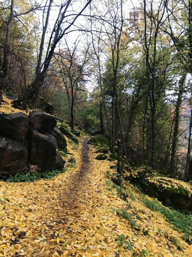 La Gargantilla Херте Екстериор снимка